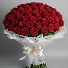 Букет 101 Красная роза Блэк Мэджик #REPLACE_PRED# Кобралово