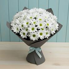 Букет цветов из:  Хризантемы в Кобралово