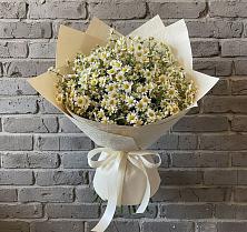Букет цветов из:  Ромашки #REPLACE_PRED# Кобралово
