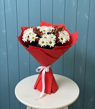 Букет цветов из:  Хризантемы в Кобралово