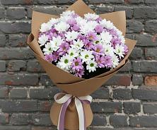 Букет цветов из:  Хризантемы в Кобралово