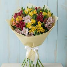 Букет цветов из:  Альстромерии #REPLACE_PRED# Кобралово