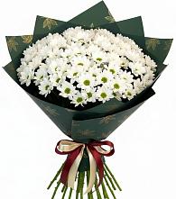 Букет цветов из:  Хризантемы в Кобралово