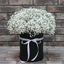 Цветочная композиция из Гипсофила в шляпной коробке в Кобралово