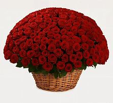 Премиум букет из: Розы в Кобралово