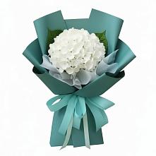 Букет цветов из:  Гортензия в Кобралово